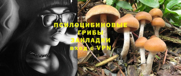 mix Аркадак