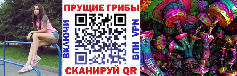 ОМГ ОМГ онион  Пугачёв  Галлюциногенные грибы мухоморы 