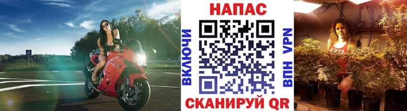 Каннабис план  Пугачёв 
